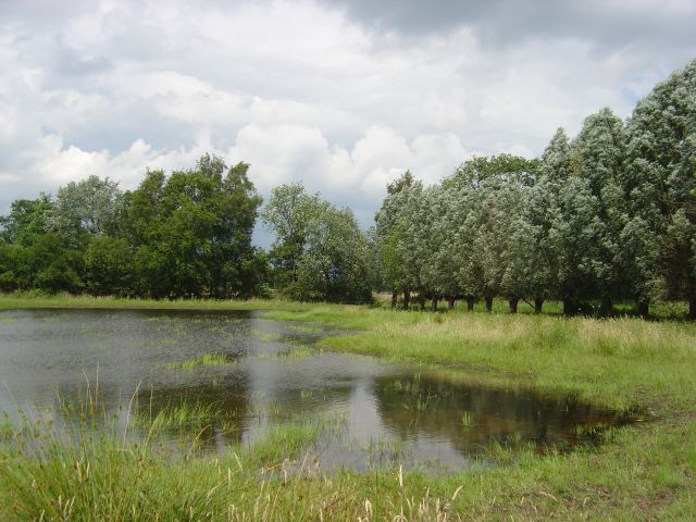 beekberger woud