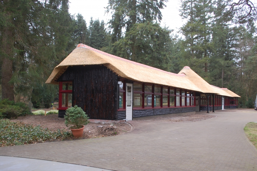 theehuisbergenbos
