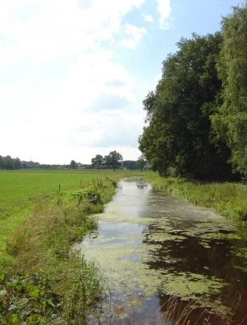 weteringen 2