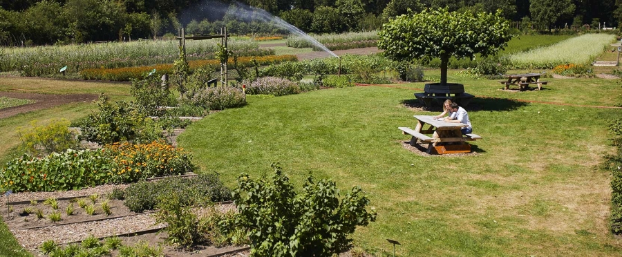 tuinenavogel