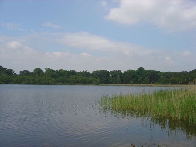 Uddelermeer